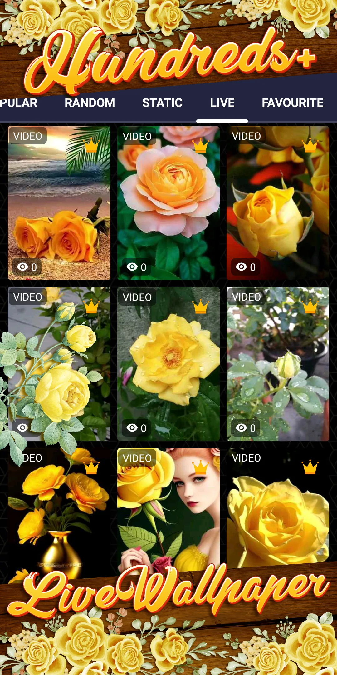 jeltie скриншот 2