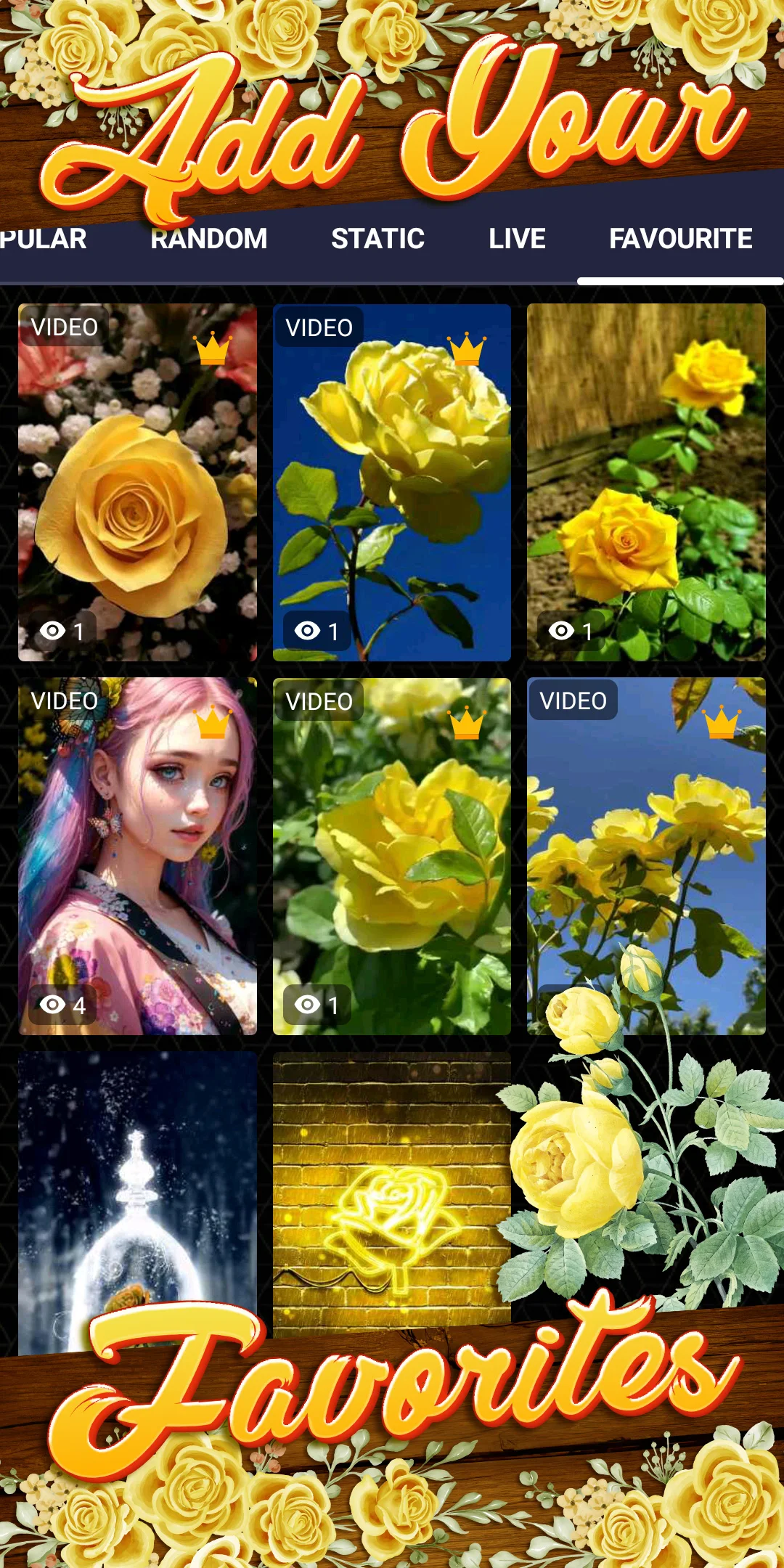 jeltie-4-230226 jeltie скриншот 4