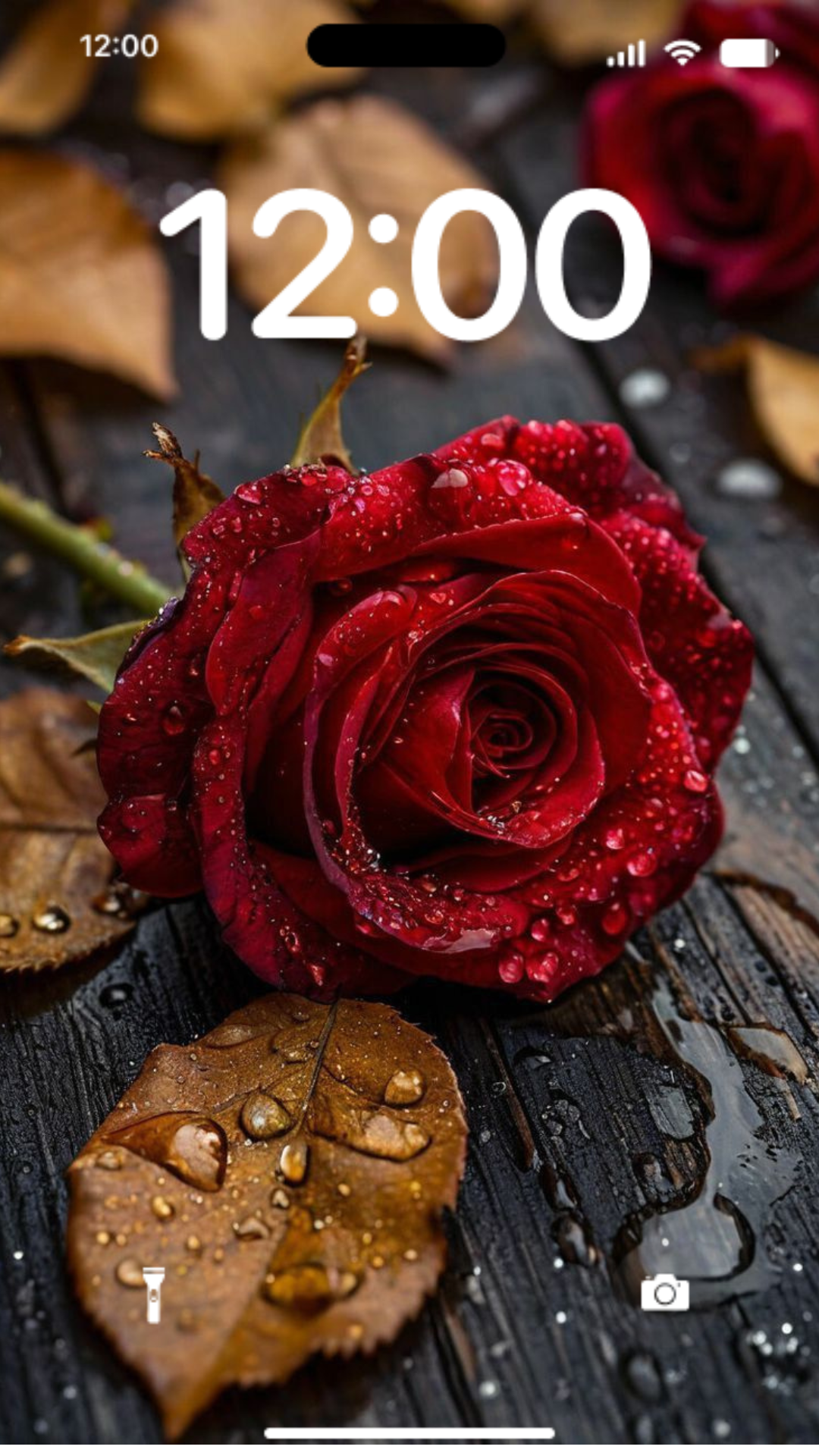 oboisrozoi скриншот 2