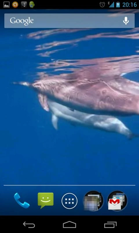 Delfini3D скриншот 3