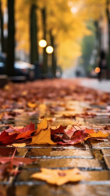 обои листопад