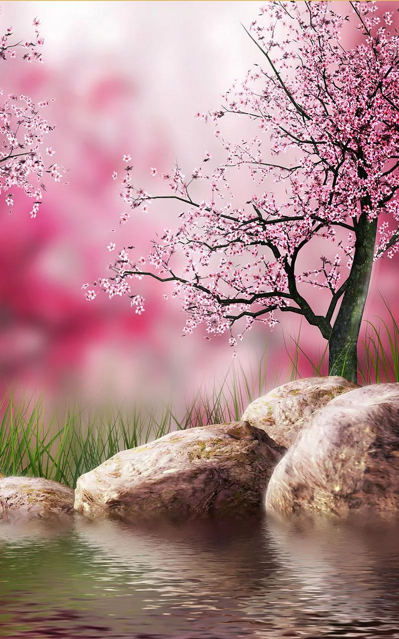 Sakura скриншот 2