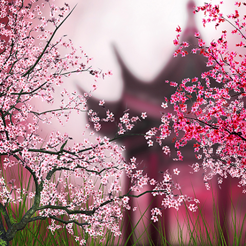 Sakura logo