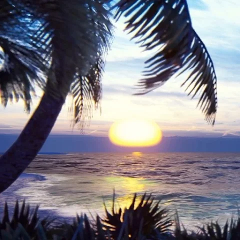 tropicheskii logo